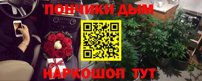 шишки Северобайкальск