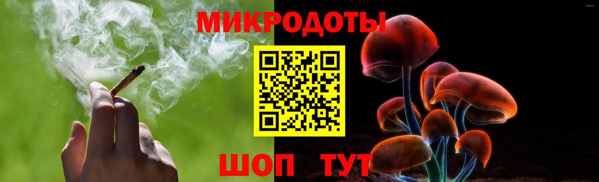 Прохладный  Псилоцибиновые грибы мицелий  Вход с VPN 